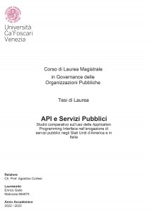 API e Servizi Pubblici - Tesi in economia
